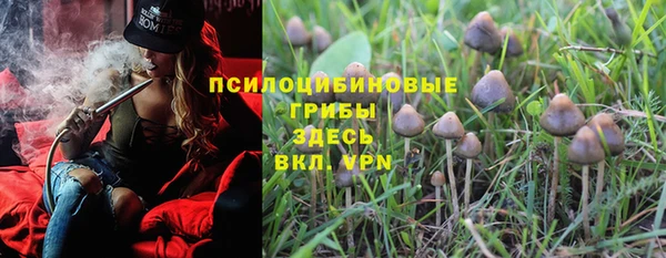 амф Бердск