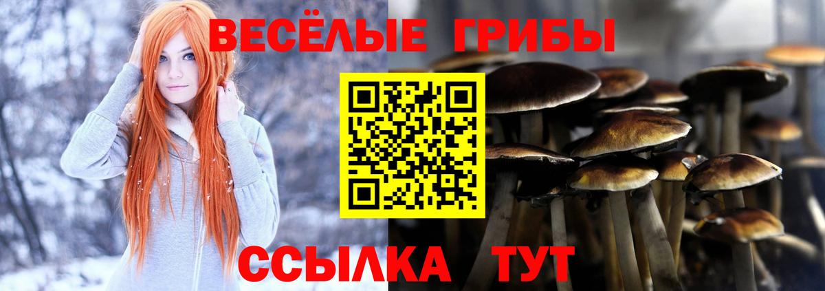 Галлюциногенные грибы ЛСД  Псилоцибиновые грибы Cubensis  Вход с VPN  Лянтор 